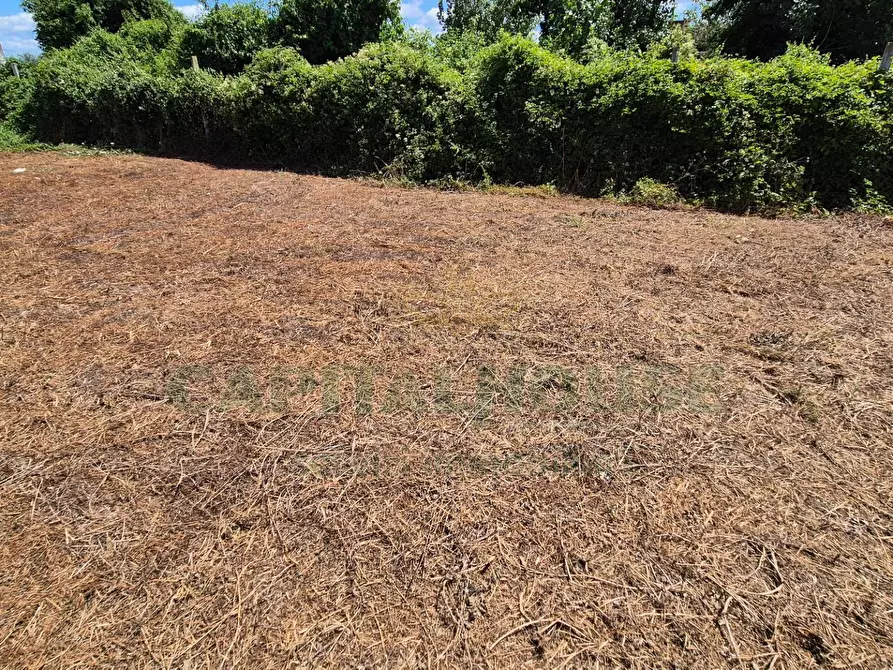 Immagine 5 di Terreno residenziale in vendita  a Marcianise