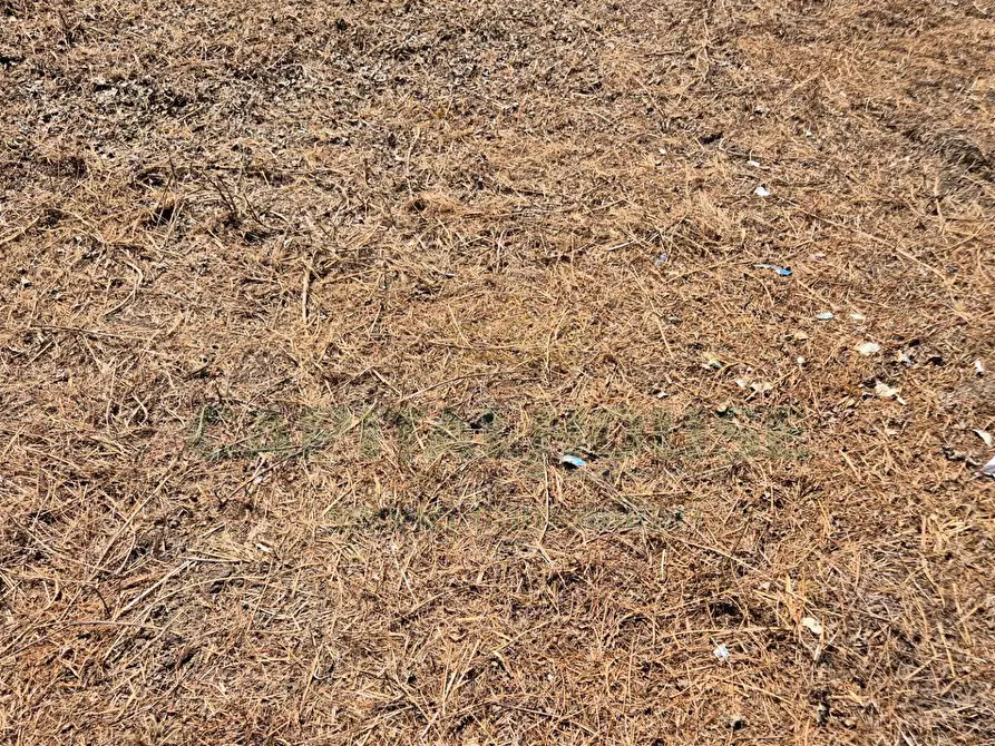 Immagine 6 di Terreno residenziale in vendita  a Marcianise