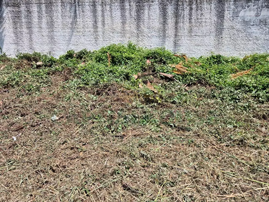 Immagine 7 di Terreno residenziale in vendita  a Marcianise