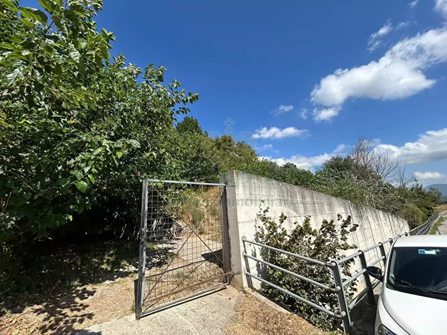 Immagine 4 di Terreno agricolo in vendita  a Bracigliano