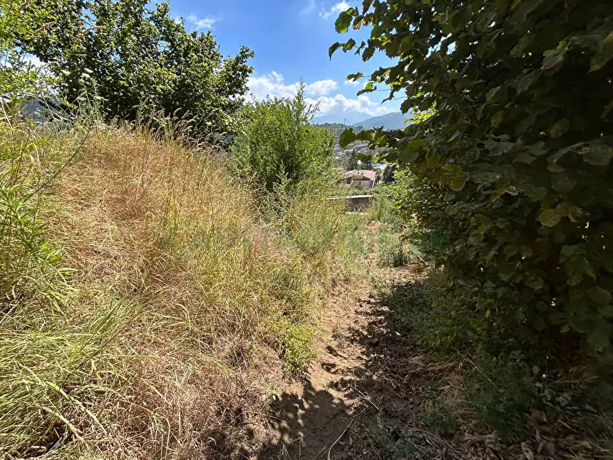 Immagine 8 di Terreno agricolo in vendita  a Bracigliano