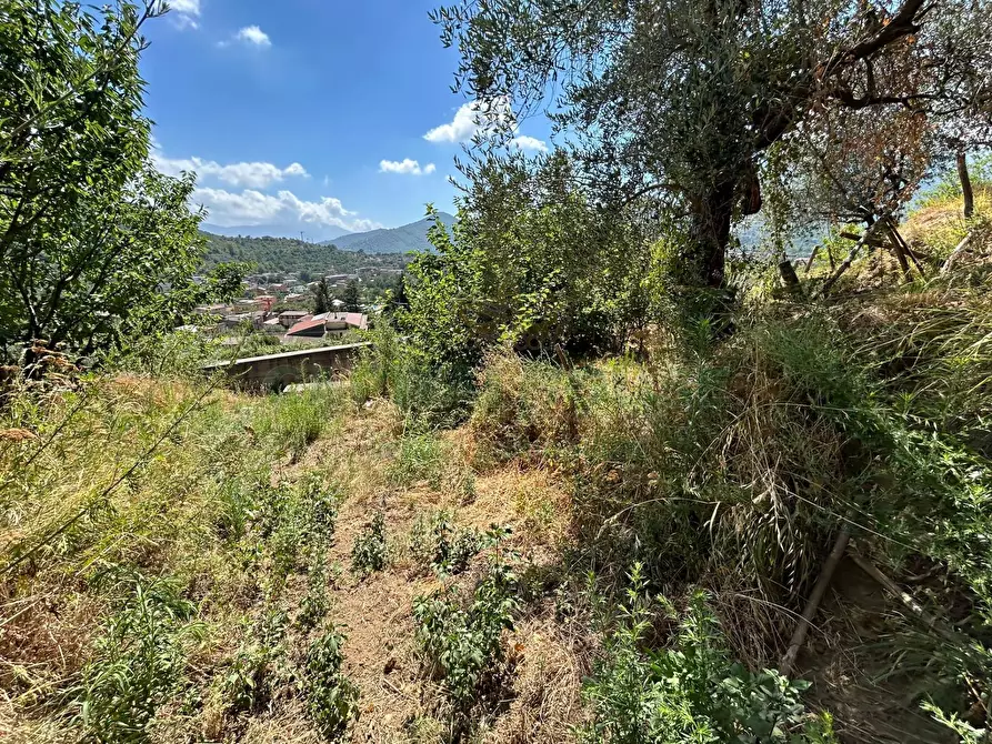 Immagine 9 di Terreno agricolo in vendita  a Bracigliano
