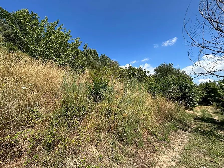 Immagine 12 di Terreno agricolo in vendita  a Bracigliano