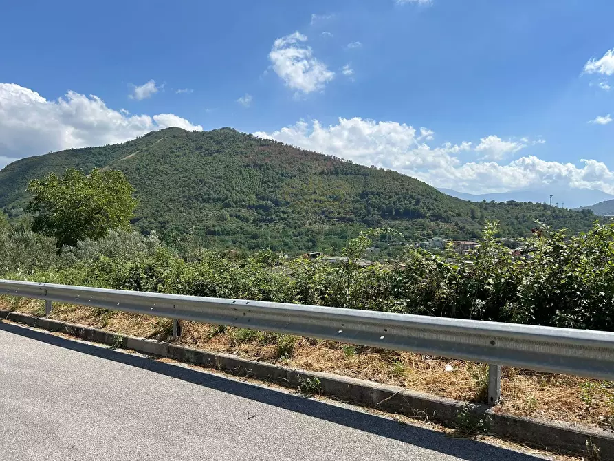 Immagine 2 di Terreno agricolo in vendita  a Bracigliano