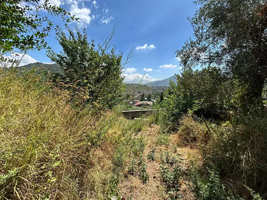 Immagine 13 di Terreno agricolo in vendita  a Bracigliano