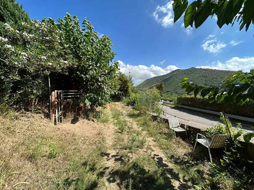 Immagine 6 di Terreno agricolo in vendita  a Bracigliano