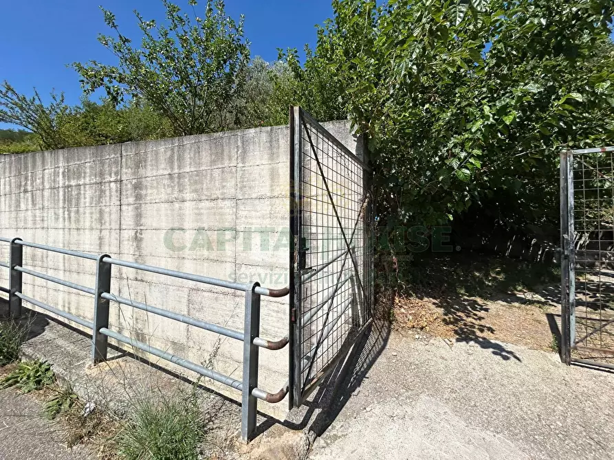 Immagine 5 di Terreno agricolo in vendita  a Bracigliano