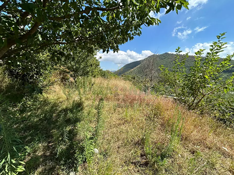 Immagine 15 di Terreno agricolo in vendita  a Bracigliano