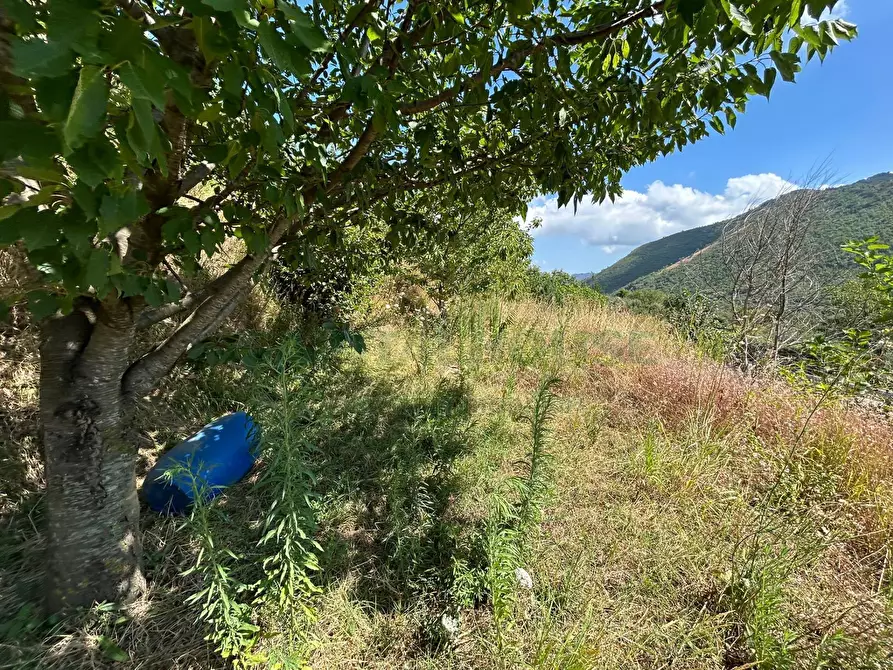 Immagine 16 di Terreno agricolo in vendita  a Bracigliano