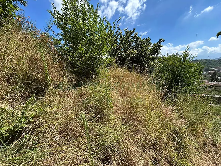 Immagine 17 di Terreno agricolo in vendita  a Bracigliano