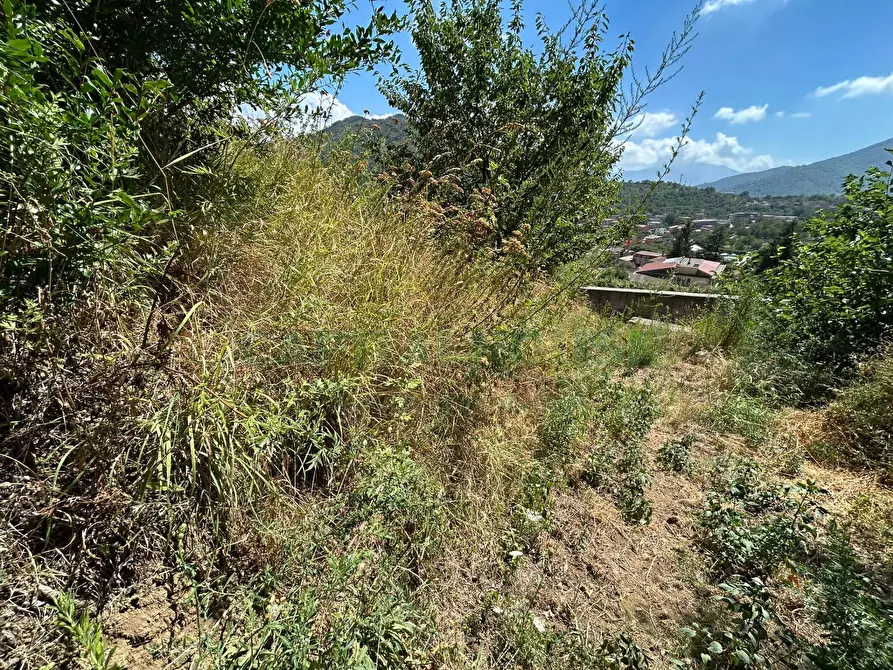 Immagine 18 di Terreno agricolo in vendita  a Bracigliano