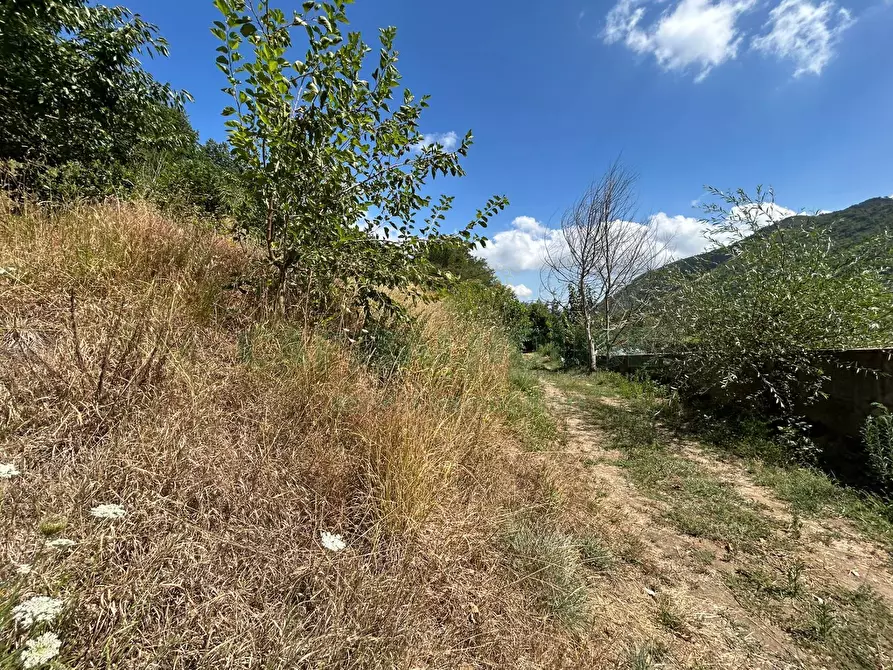 Immagine 20 di Terreno agricolo in vendita  a Bracigliano