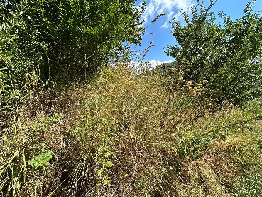 Immagine 21 di Terreno agricolo in vendita  a Bracigliano