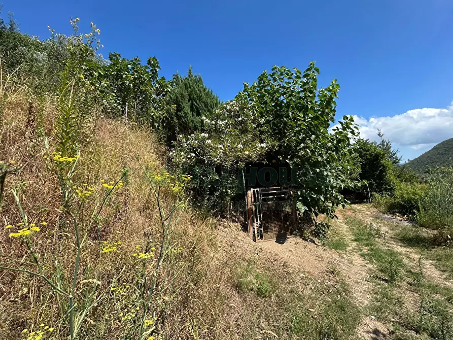 Immagine 22 di Terreno agricolo in vendita  a Bracigliano