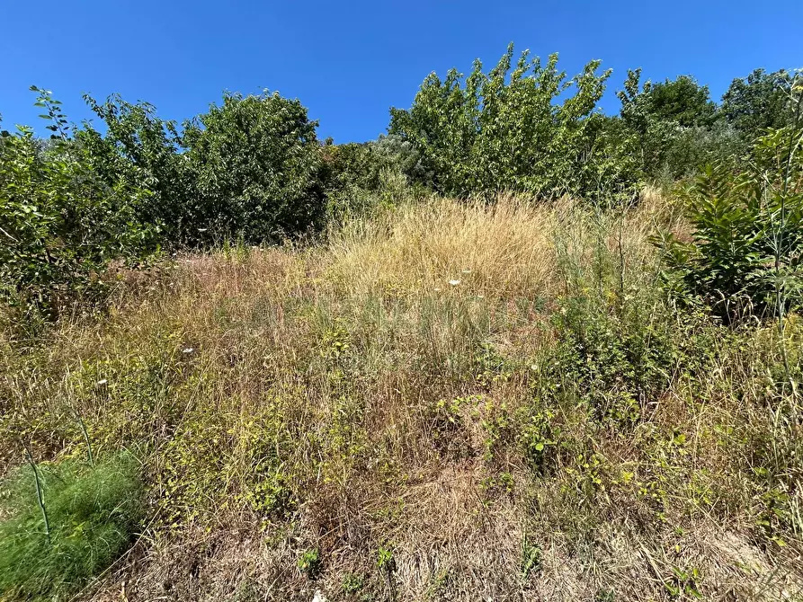 Immagine 23 di Terreno agricolo in vendita  a Bracigliano