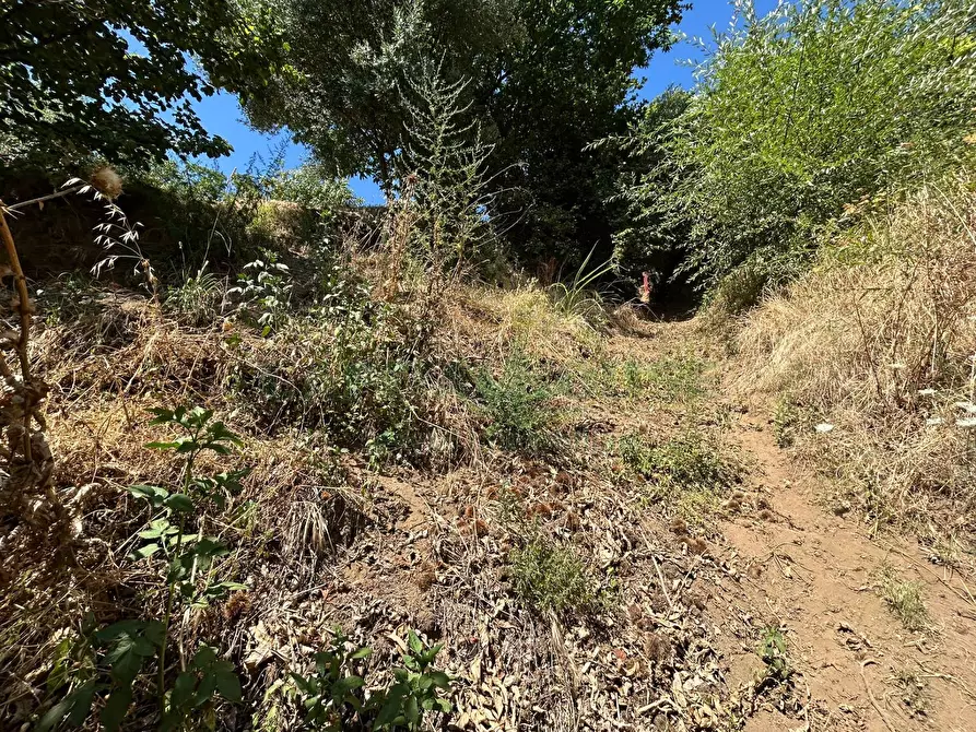 Immagine 24 di Terreno agricolo in vendita  a Bracigliano