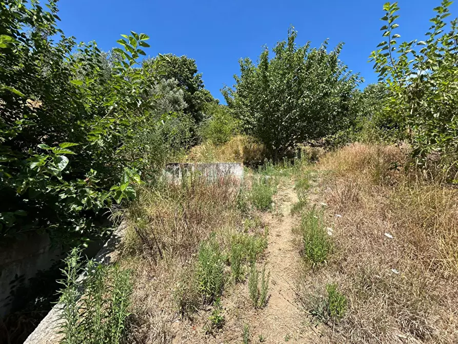 Immagine 25 di Terreno agricolo in vendita  a Bracigliano