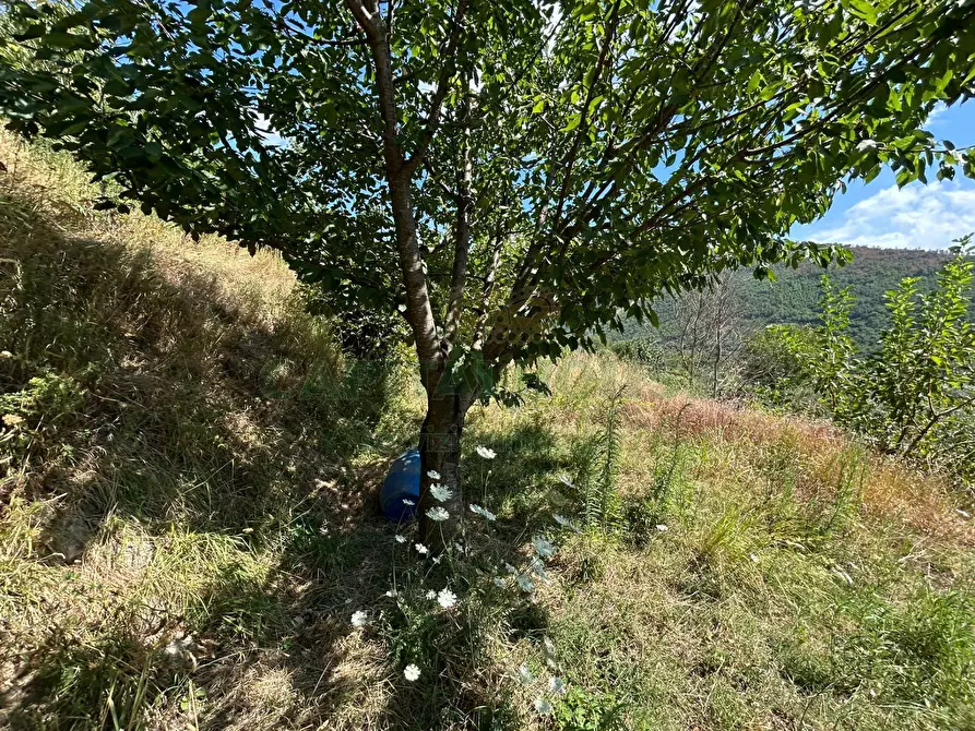 Immagine 26 di Terreno agricolo in vendita  a Bracigliano