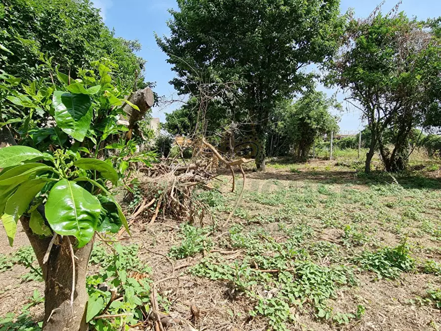 Immagine 1 di Terreno residenziale in vendita  a Camigliano