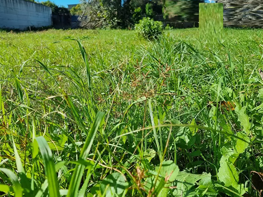 Immagine 3 di Terreno residenziale in vendita  a Camigliano