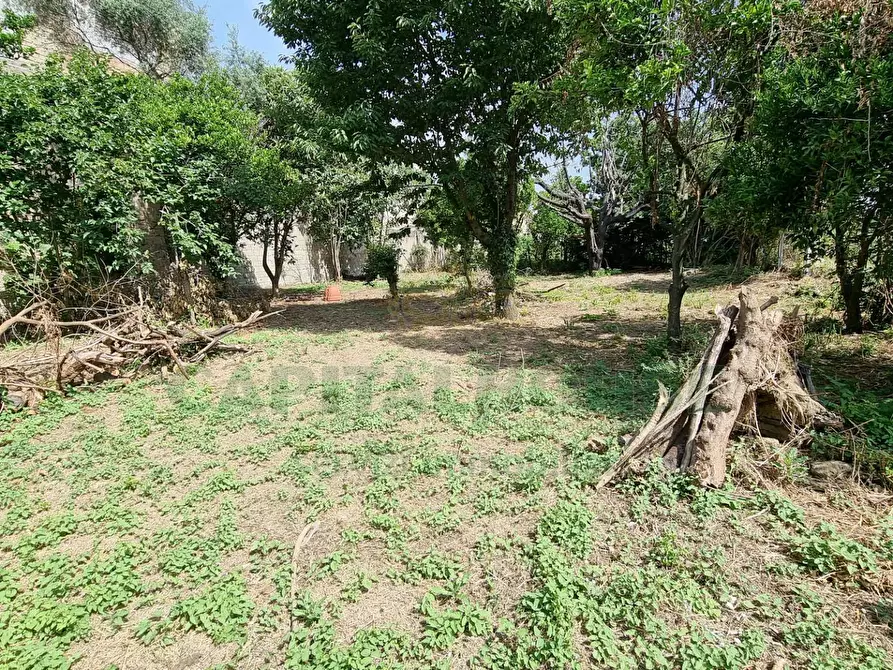 Immagine 4 di Terreno residenziale in vendita  a Camigliano