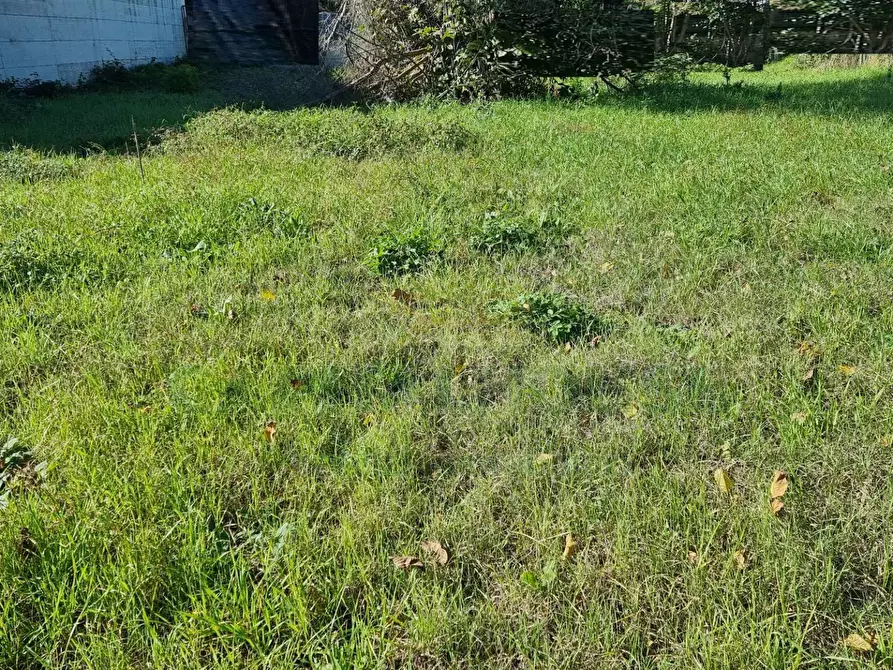 Immagine 5 di Terreno residenziale in vendita  a Camigliano