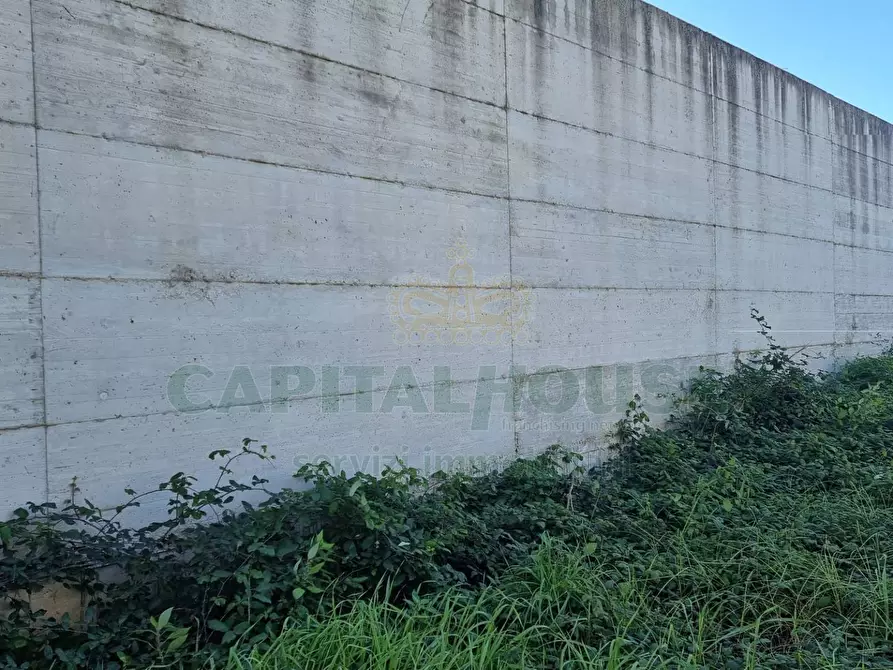 Immagine 6 di Terreno residenziale in vendita  a Camigliano