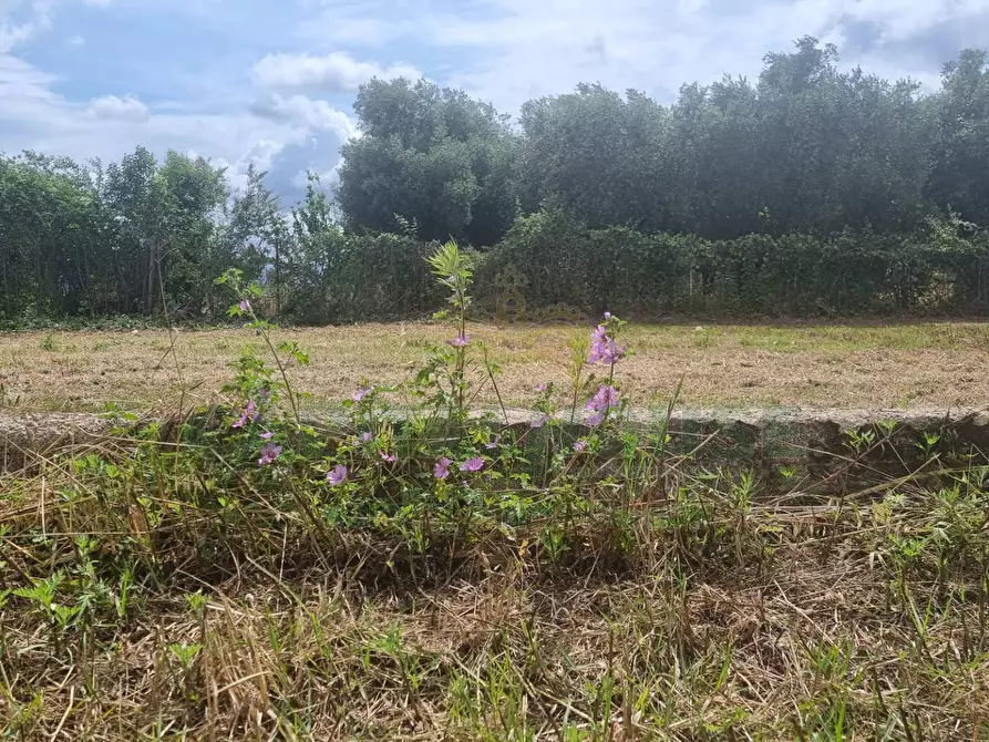 Immagine 7 di Terreno residenziale in vendita  a Camigliano