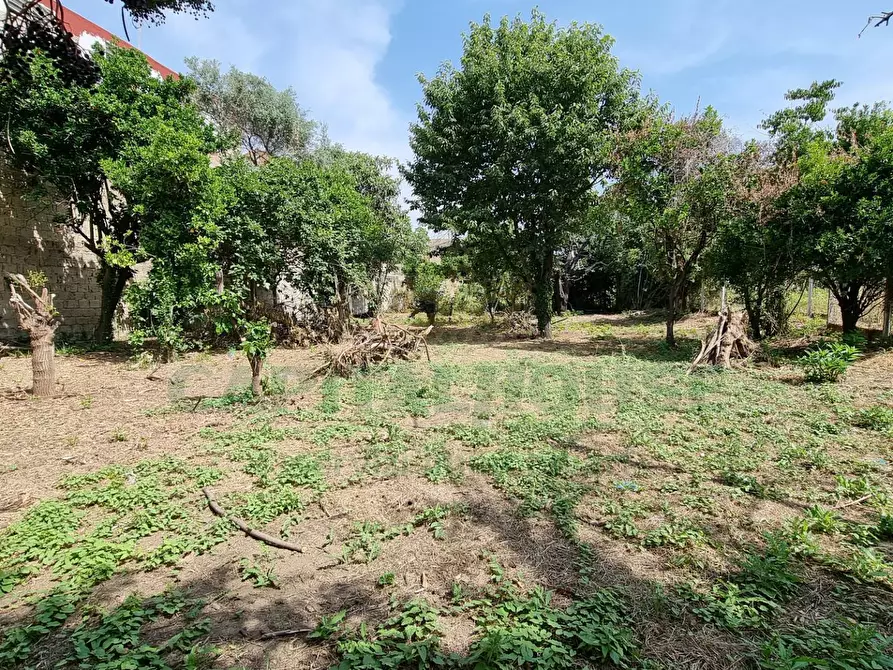 Immagine 8 di Terreno residenziale in vendita  a Camigliano