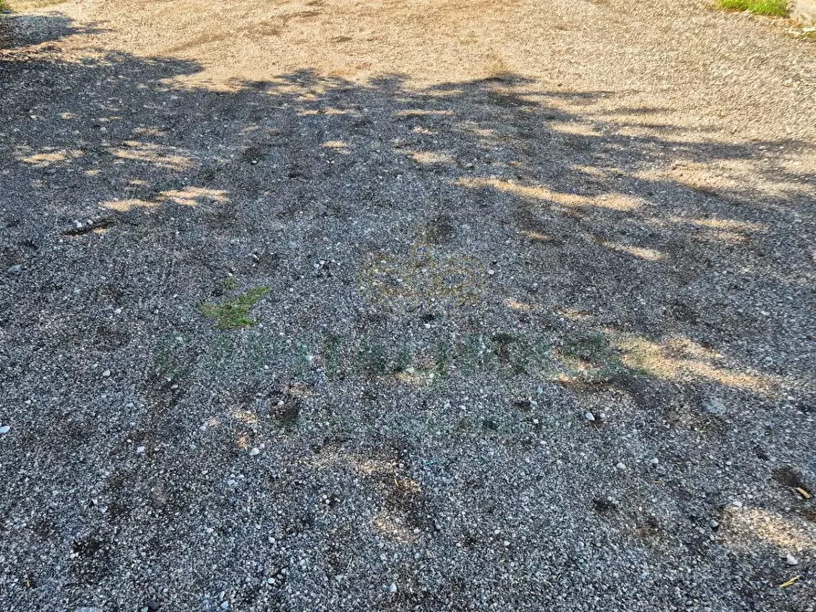 Immagine 9 di Terreno residenziale in vendita  a Camigliano