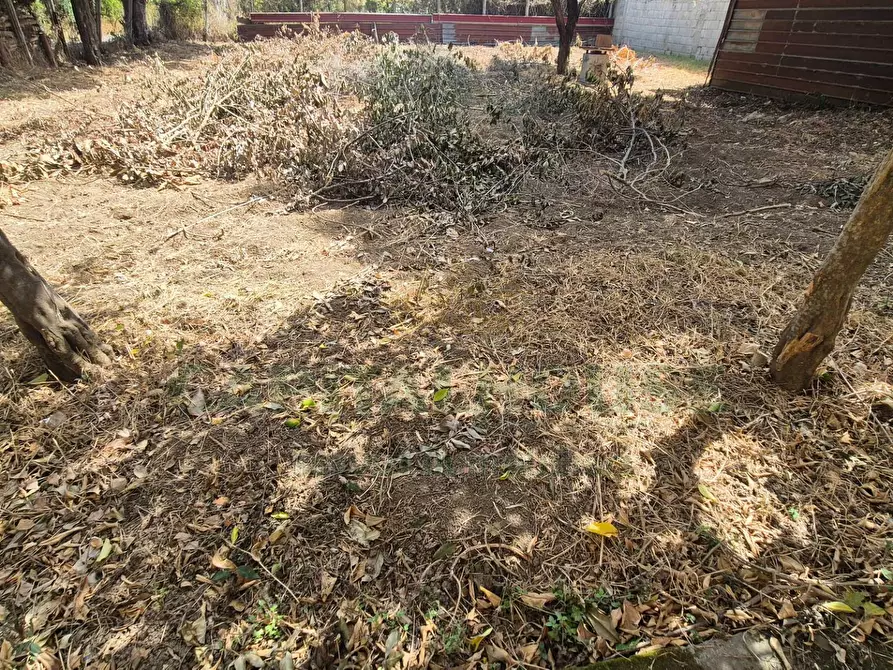 Immagine 4 di Terreno residenziale in vendita  a Marcianise