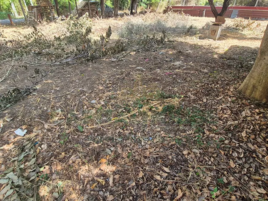 Immagine 5 di Terreno residenziale in vendita  a Marcianise