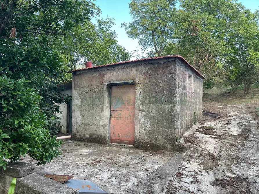 Immagine 4 di Terreno agricolo in vendita  in via sa francesco a Avella