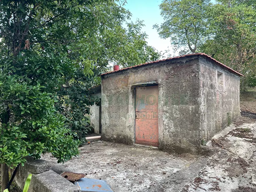 Immagine 5 di Terreno agricolo in vendita  in via sa francesco a Avella