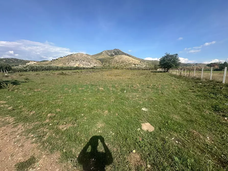 Immagine 6 di Terreno agricolo in vendita  in Via della libertà a Capua