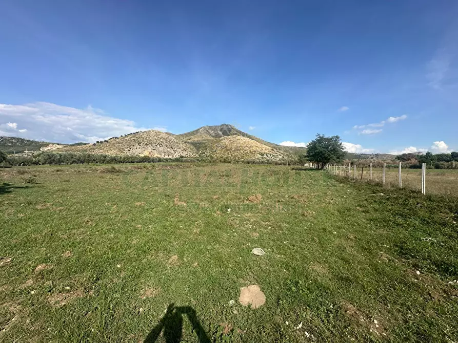Immagine 7 di Terreno agricolo in vendita  in Via della libertà a Capua