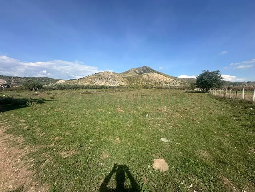 Immagine 8 di Terreno agricolo in vendita  in Via della libertà a Capua