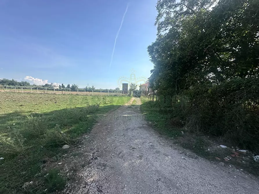 Immagine 15 di Terreno agricolo in vendita  in Via della libertà a Capua