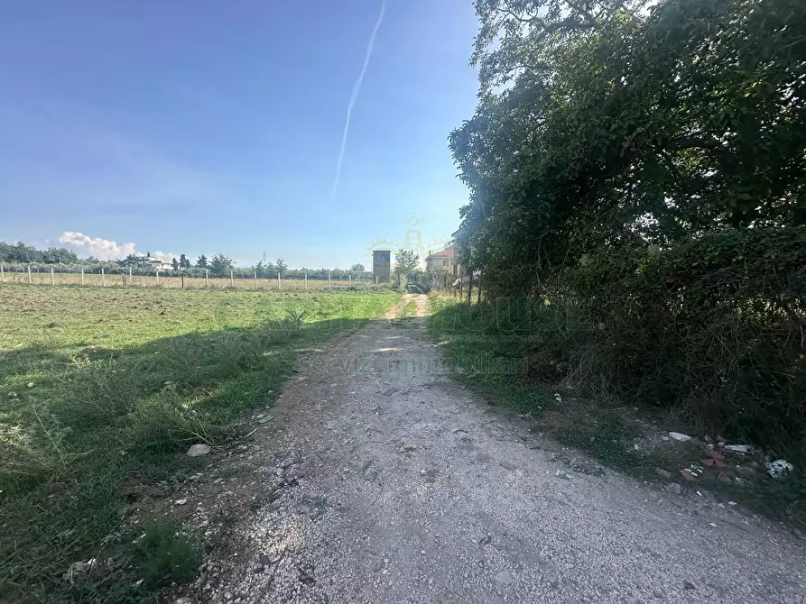 Immagine 16 di Terreno agricolo in vendita  in Via della libertà a Capua