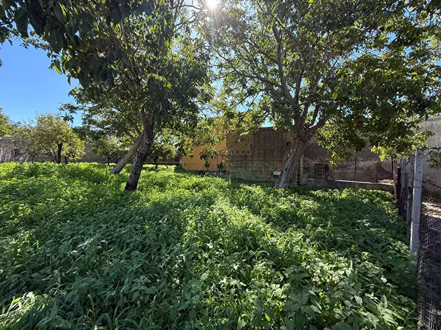 Immagine 1 di Terreno agricolo in vendita  in Via Tuori di Maio a Roccarainola