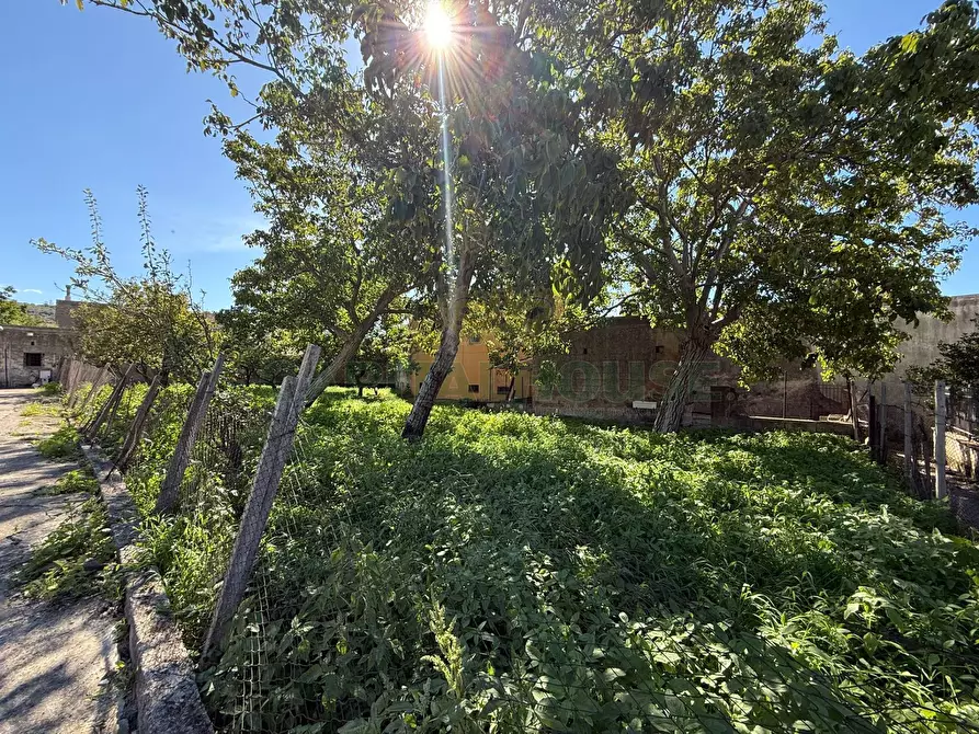 Immagine 4 di Terreno agricolo in vendita  in Via Tuori di Maio a Roccarainola