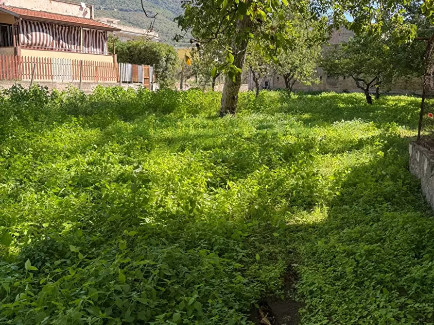 Immagine 8 di Terreno agricolo in vendita  in Via Tuori di Maio a Roccarainola
