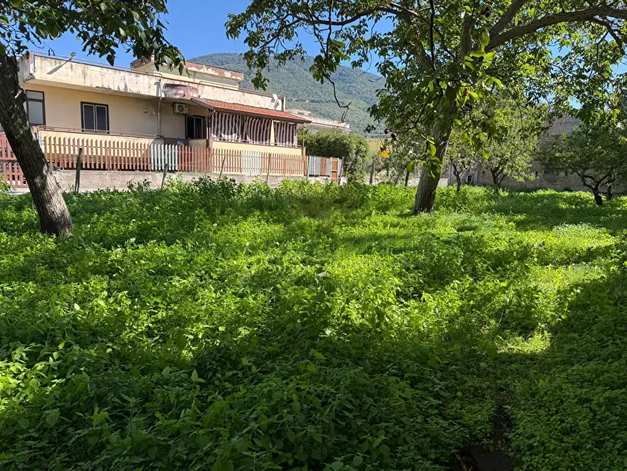 Immagine 9 di Terreno agricolo in vendita  in Via Tuori di Maio a Roccarainola