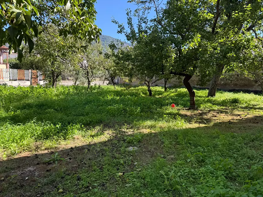 Immagine 10 di Terreno agricolo in vendita  in Via Tuori di Maio a Roccarainola