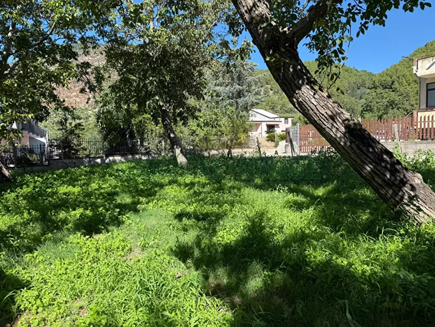 Immagine 11 di Terreno agricolo in vendita  in Via Tuori di Maio a Roccarainola