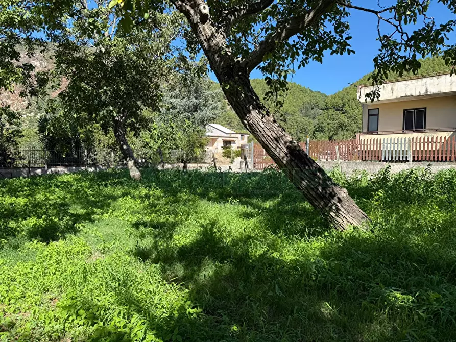 Immagine 12 di Terreno agricolo in vendita  in Via Tuori di Maio a Roccarainola