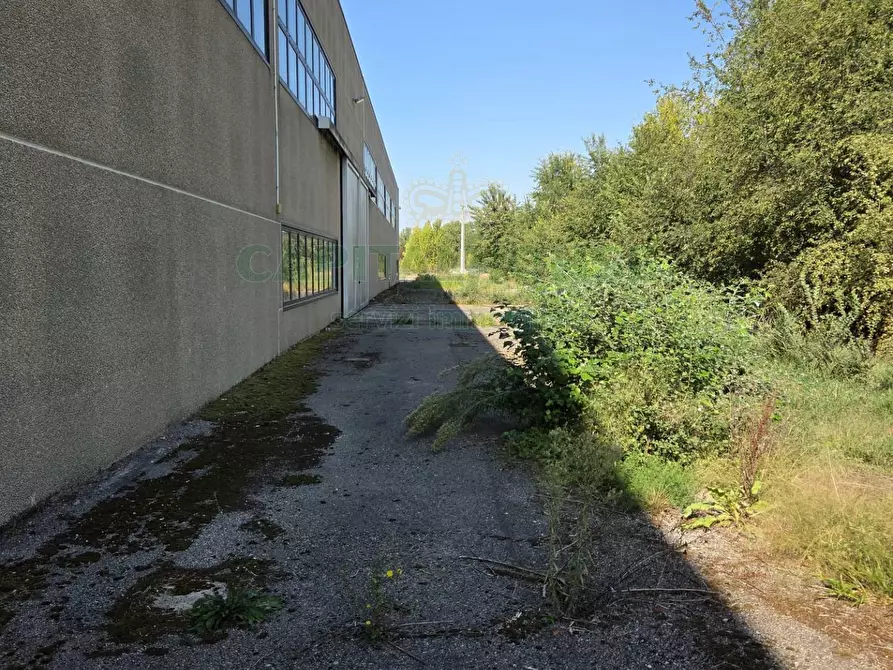 Immagine 23 di Capannone industriale in vendita  a Crevalcore