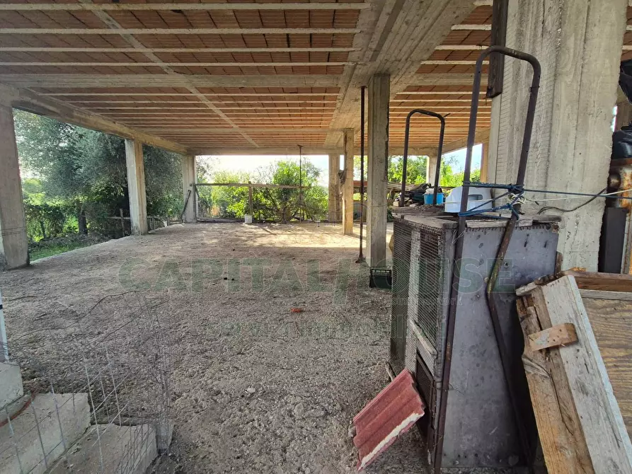 Immagine 6 di Villa in vendita  a Marcianise