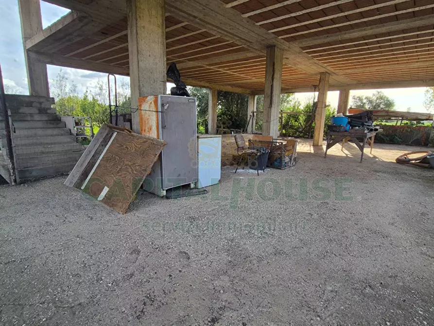 Immagine 7 di Villa in vendita  a Marcianise