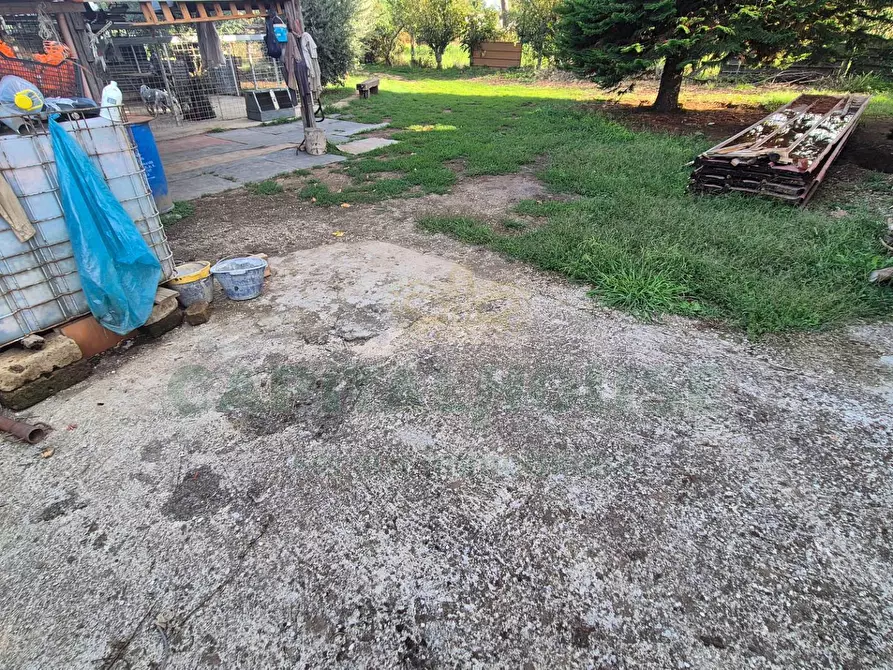 Immagine 9 di Villa in vendita  a Marcianise